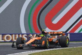 F1 Hungarian Grand Prix - Race Day - Budapest