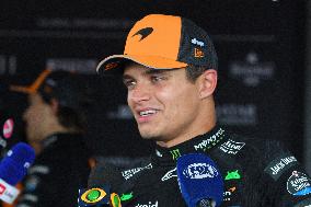 F1 Hungarian Grand Prix - Race Day - Budapest
