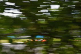 F1 Hungarian Grand Prix - Race Day - Budapest