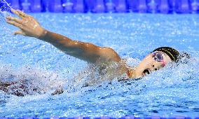 World aquatics championships: Swimming