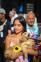MOTORI - Formula 1 - Lenovo Hungarian Grand Prix 2025