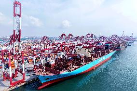 Qingdao Port Container Shipping Route