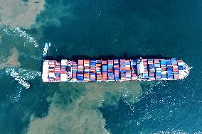 Qingdao Port Container Shipping Route