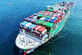 Qingdao Port Container Shipping Route