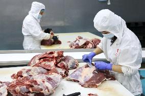 Beef Processing in Binzhou