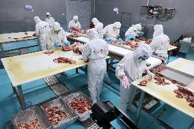 Beef Processing in Binzhou