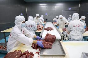 Beef Processing in Binzhou