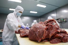 Beef Processing in Binzhou