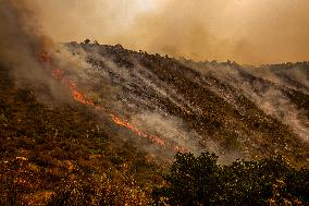 Wildfire Rages Through Los Padres Forest - USA