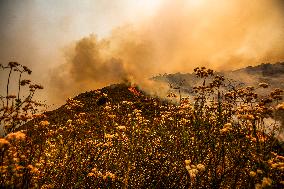 Wildfire Rages Through Los Padres Forest - USA
