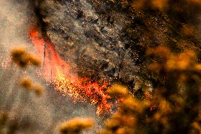 Wildfire Rages Through Los Padres Forest - USA