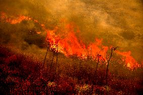 Wildfire Rages Through Los Padres Forest - USA