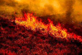 Wildfire Rages Through Los Padres Forest - USA