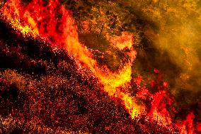 Wildfire Rages Through Los Padres Forest - USA