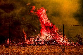 Wildfire Rages Through Los Padres Forest - USA