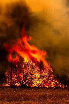 Wildfire Rages Through Los Padres Forest - USA