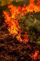 Wildfire Rages Through Los Padres Forest - USA