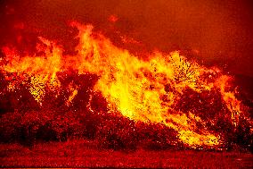 Wildfire Rages Through Los Padres Forest - USA