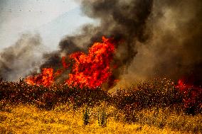 Wildfire Rages Through Los Padres Forest - USA