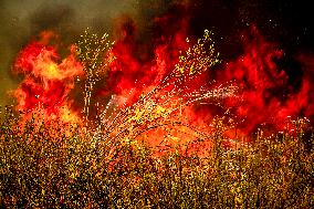 Wildfire Rages Through Los Padres Forest - USA