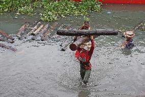 Cutting and Transportation of Wood - Bangladesh