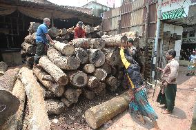 Cutting and Transportation of Wood - Bangladesh