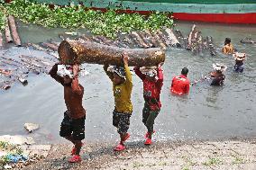 Cutting and Transportation of Wood - Bangladesh