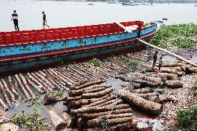Cutting and Transportation of Wood - Bangladesh
