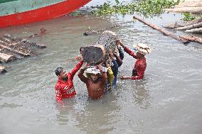 Cutting and Transportation of Wood - Bangladesh