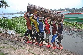 Cutting and Transportation of Wood - Bangladesh