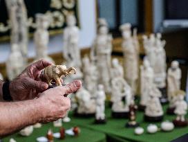 Civil Guard Highlights Major Ivory Seizure in Spain