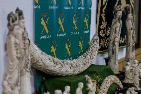 Civil Guard Highlights Major Ivory Seizure in Spain
