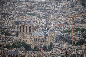 Illustration - Notre Dame de Paris