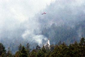 Wildfire on Vancouver Island Continues to Grow - Canada