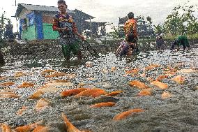 The Merah Putih Spirit's - Indonesia