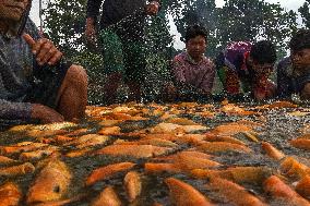 The Merah Putih Spirit's - Indonesia