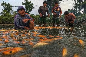 The Merah Putih Spirit's - Indonesia