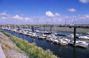 Illustration - Baie de Somme