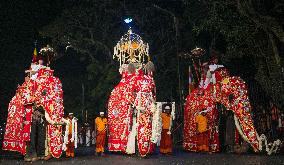 Esala Perahera Festival - Sri Lanka