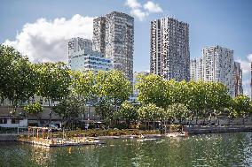 People are Swimming in the Seine - Paris