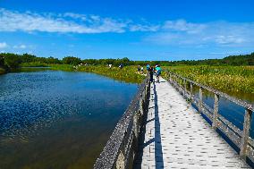Illustration - Baie de Somme