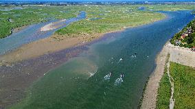 Illustration - Baie de Somme