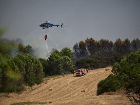 Wildfires in Navarre - Spain