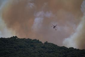 Wildfires in Navarre - Spain