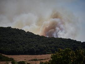 Wildfires in Navarre - Spain