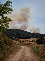 Wildfires in Navarre - Spain