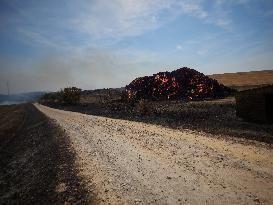 Wildfires in Navarre - Spain