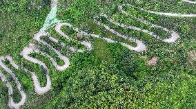 Twenty-four Turns Road