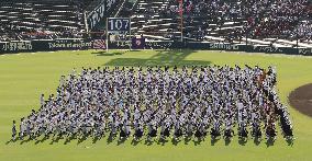Japan high school baseball tournament