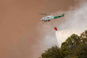 Tarifa Camping Site Evacuated Due to Fire from Burning Caravan - Spain